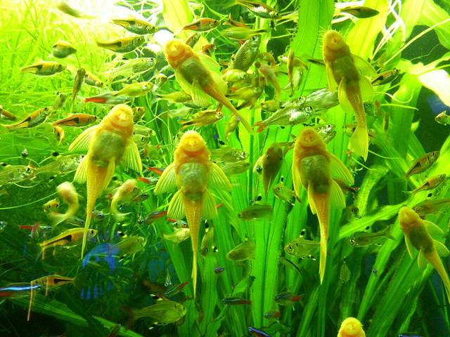 正佳极地海洋世界