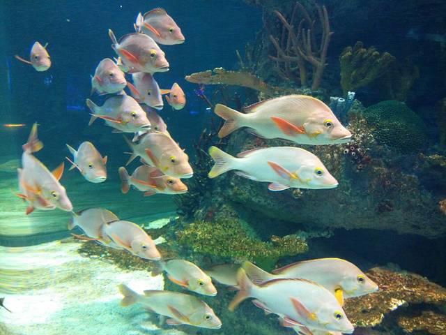 正佳极地海洋世界