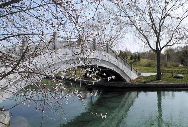乌鲁木齐植物园