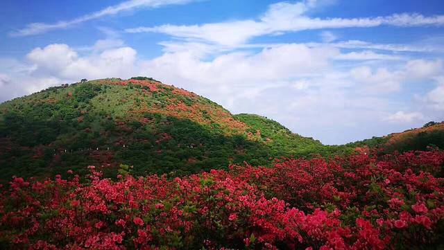 大围山国家森林公园