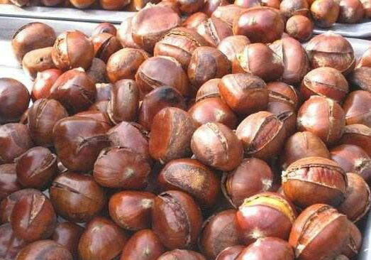 小宝栗子(西安道店)