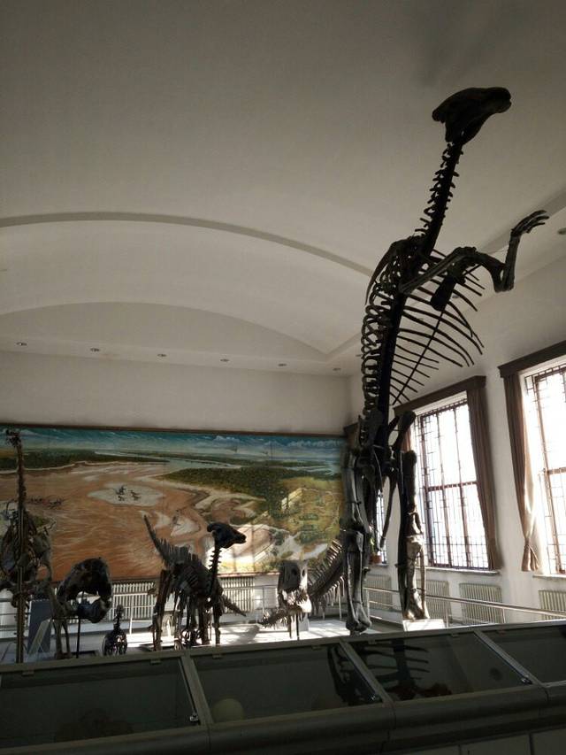 吉林大学-地质博物馆