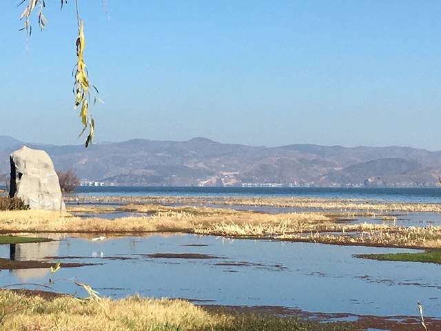 洱海月湿地公园