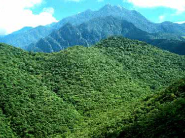 广东南岭国家级自然保护区