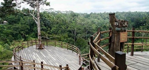 Bali Pulina Agro Tourism