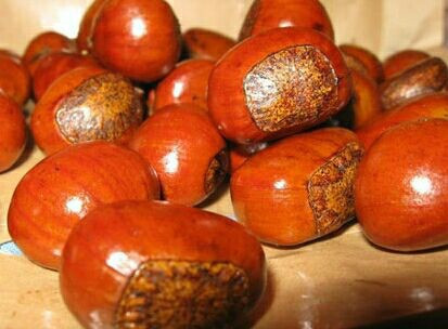 小宝栗子(西安道店)