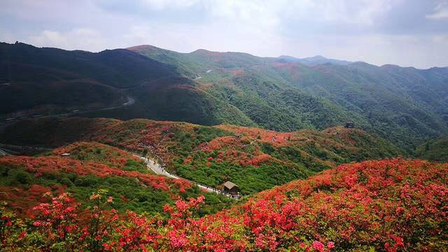 大围山国家森林公园