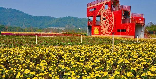 逸丰生态养生园