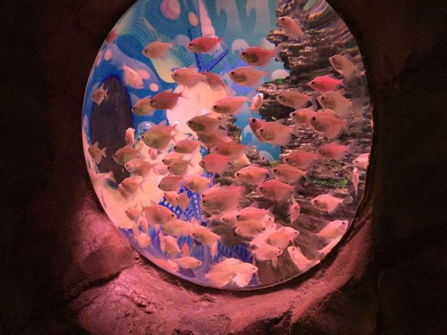 武汉东湖海洋世界