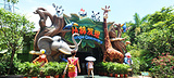 丛林发现