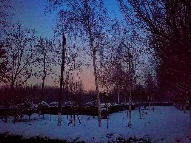 乌鲁木齐植物园