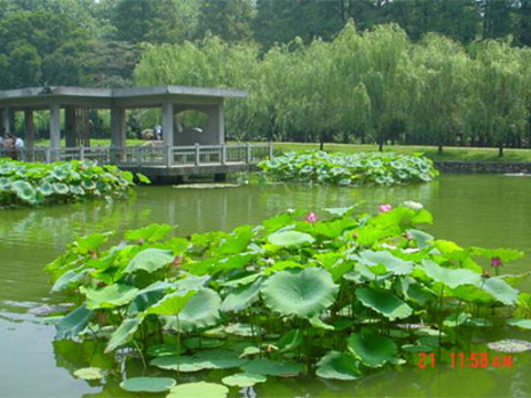 华中科技大学旅游景点图片