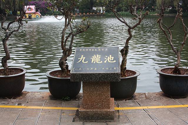 九龙池