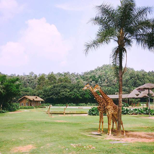 广州长隆度假区