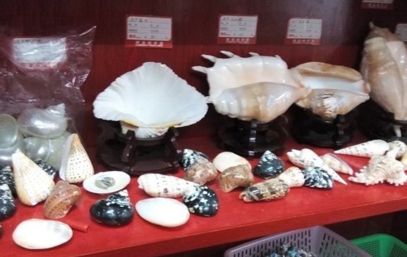 嵊山水产品市场