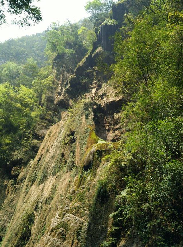 为什么重庆户口去泰国旅游要落地签(泰国可以落地签吗)(图1) 旅游攻略_门票_地址_游记点评,重庆旅游