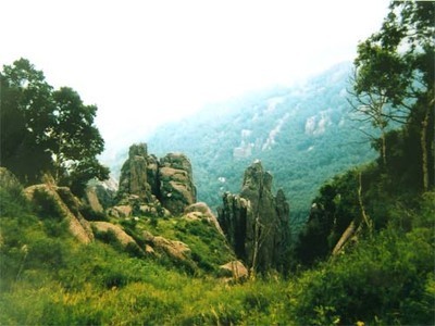 二龙什台国家森林公园