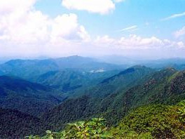 广东南岭国家级自然保护区