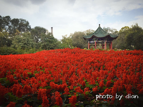 人民公园旅游景点图片