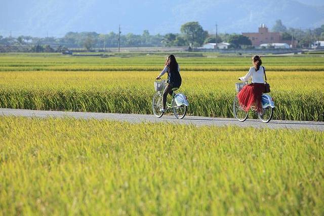 池上环乡自行车道