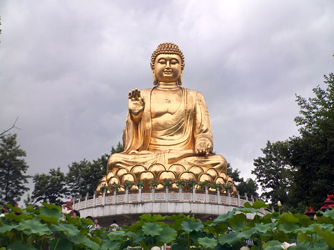 华岩寺