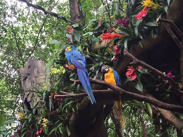 广州长隆度假区