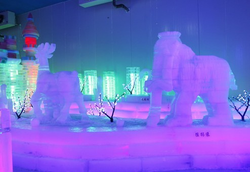 长沙冰雪大世界(世界之窗店)