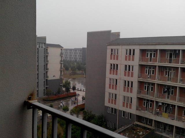 永城造律台遗址