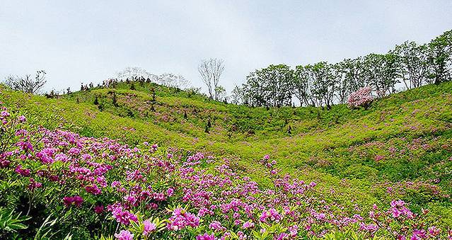 恋人山道立公园