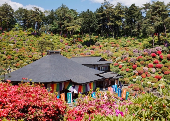 盐船观音杜鹃花祭