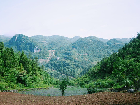 清江古河床旅游景点图片