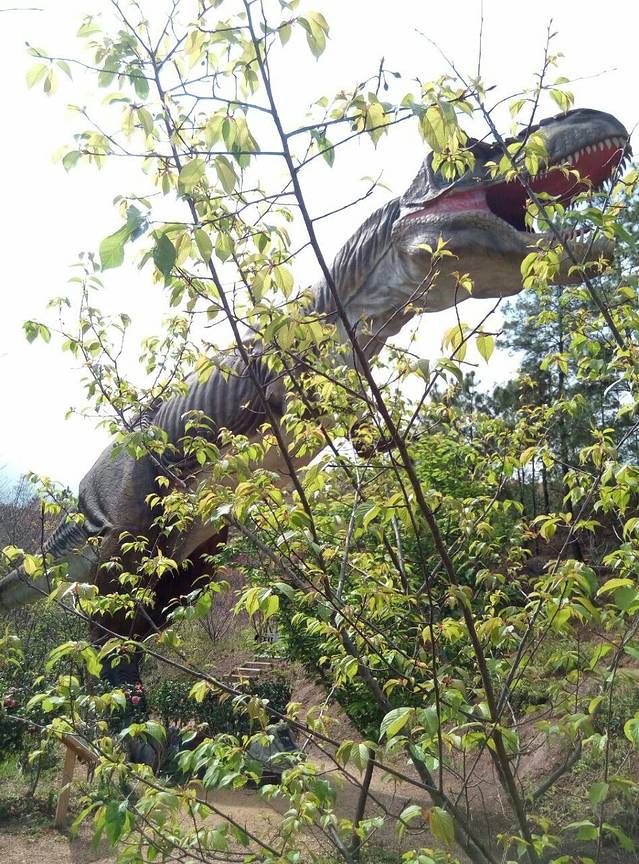 客林爱丽丝庄园