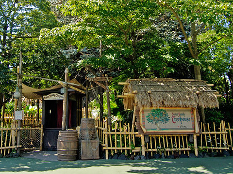 鲁宾逊家族大树屋swiss family treehouse