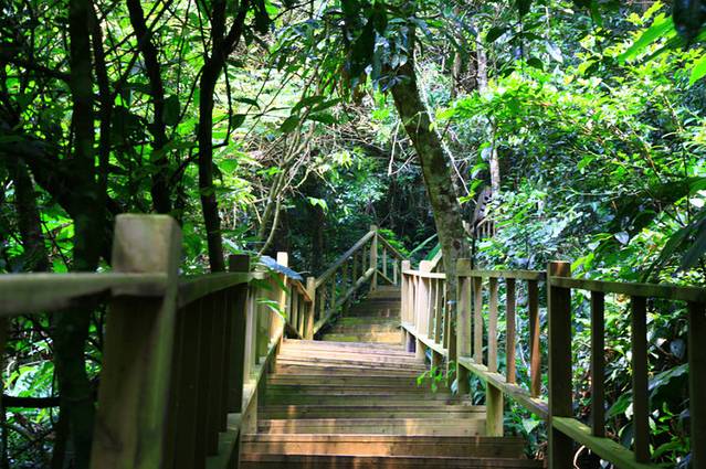 尖峰岭国家森林公园