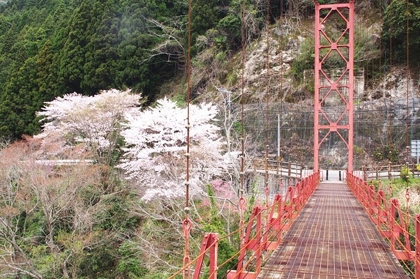有田川町旅游攻略