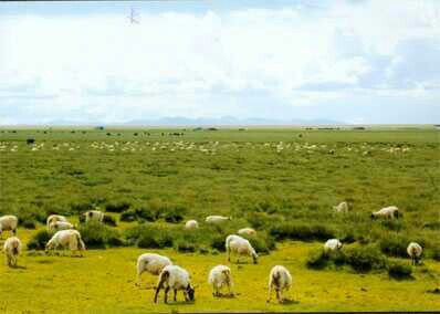 新天地购物广场(河北大街中段店)