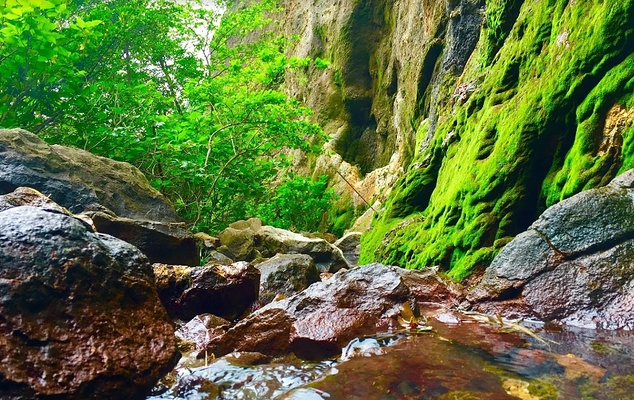 八丈町旅游攻略-2024八丈町自助游-周边自驾-游玩攻略-自由行-吃喝玩乐指南-去哪儿攻略
