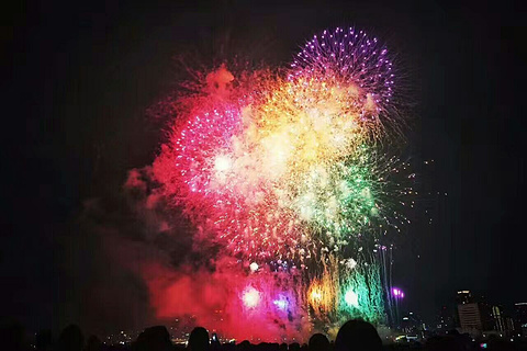 淀川烟花大会