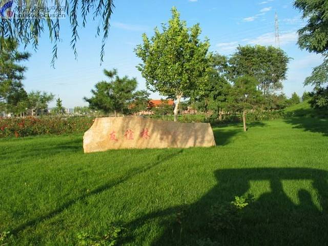 磨山景区-友谊林