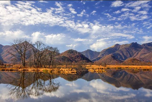 大九湖国家湿地公园