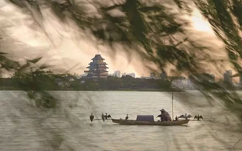 桃花岛