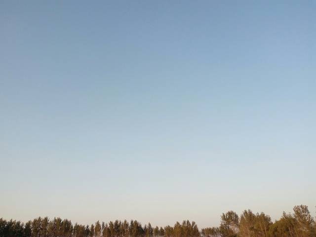 永城造律台遗址