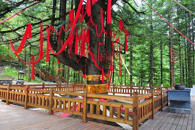 神农架巴桃园景区