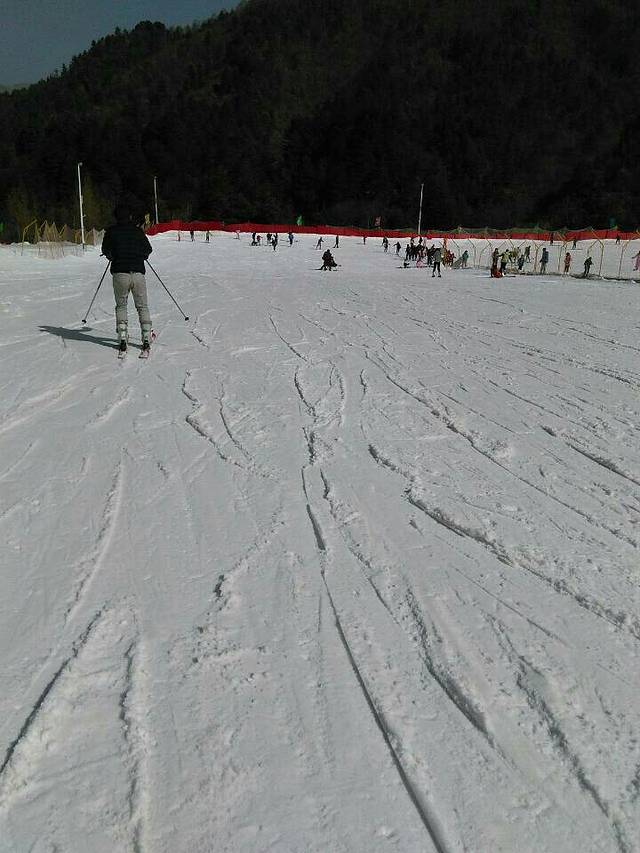 紫柏山国际滑雪场