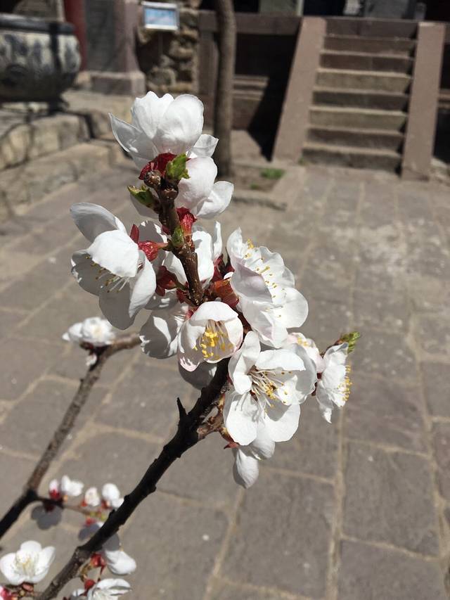 古塔历史文化公园