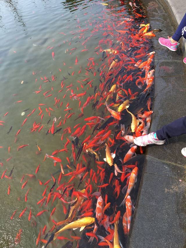 金泰珑悦海景俱乐部