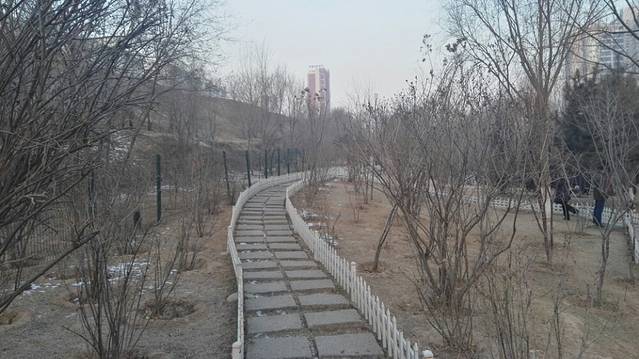 青唐城遗址公园