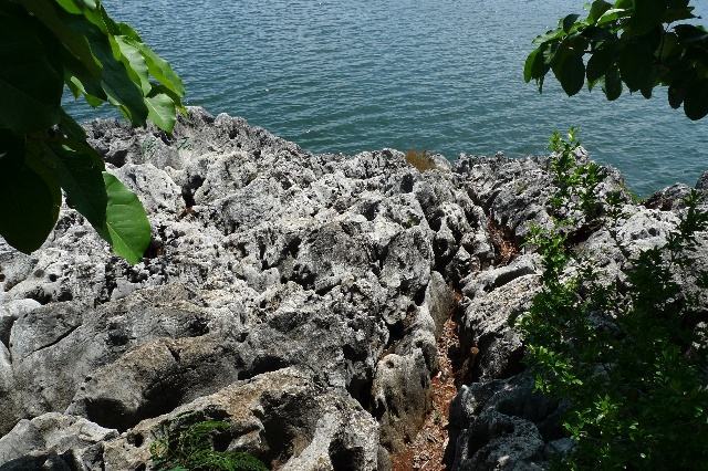 太湖石群落景区