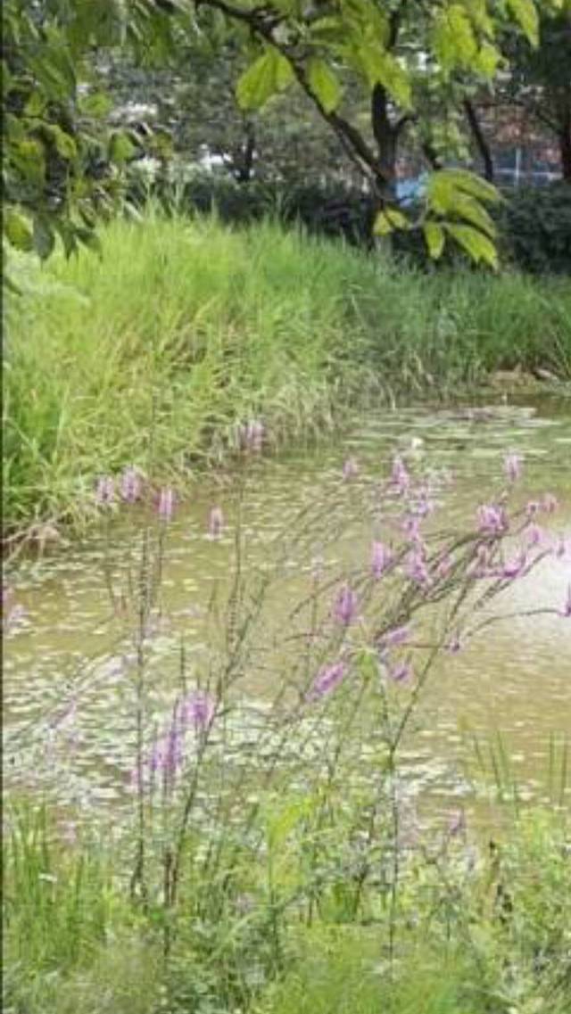 国家野生动物园