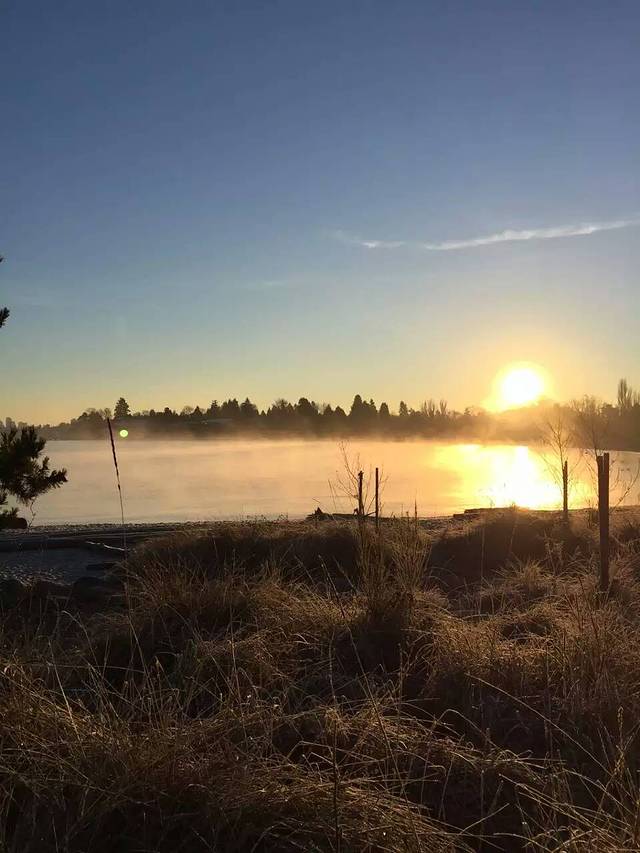 马修斯海滩公园